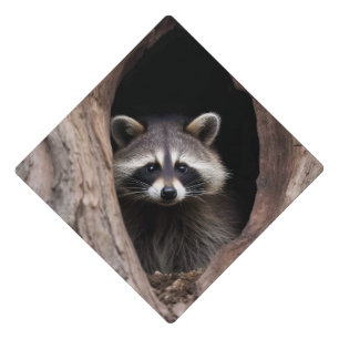 Toque De Diplômé Racon dans la grotte des arbres
