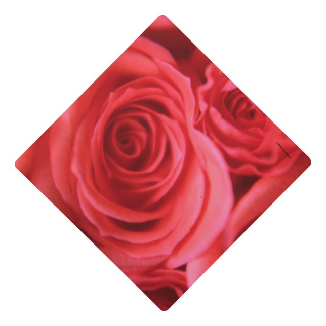 TOQUE DE DIPLÔMÉ ROSE (Devant)