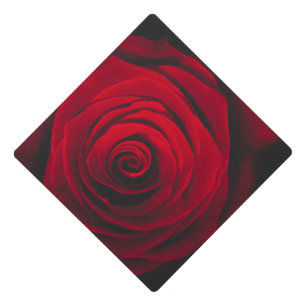 Toque De Diplômé Rose rouge sur effet vintage arrière - plan noir