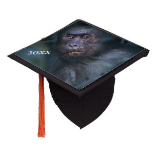 Toque De Diplômé Singe dans la jungle
