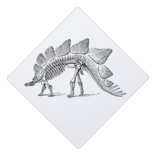 Toque De Diplômé Stegosaurus Dinosaure Squelette Fossile