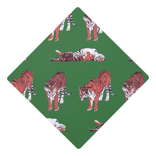 Toque De Diplômé Tigers casquette (Devant)