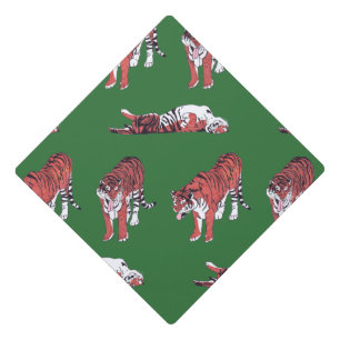 Toque De Diplômé Tigres casquette