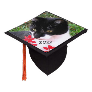 Toque De Diplômé Un super chat Tuxedo dans le jardin
