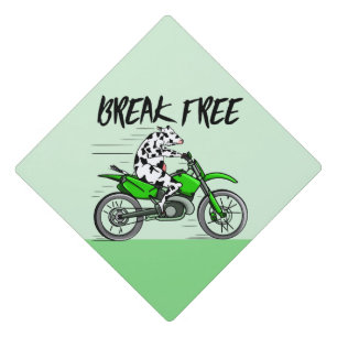 Toque De Diplômé Vache sur une moto verte brillante