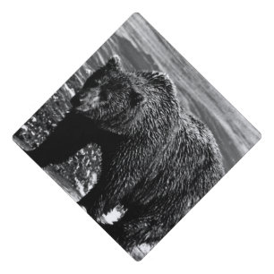 Toque De Diplômé Vintage USA Alaska brun