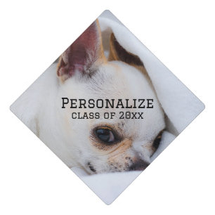 Toque De Diplômé Votre chiot chien animal de compagnie photo person