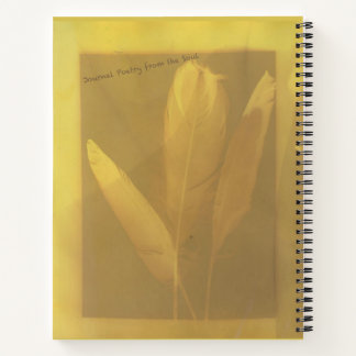 Torah Study Reflections   Notebook