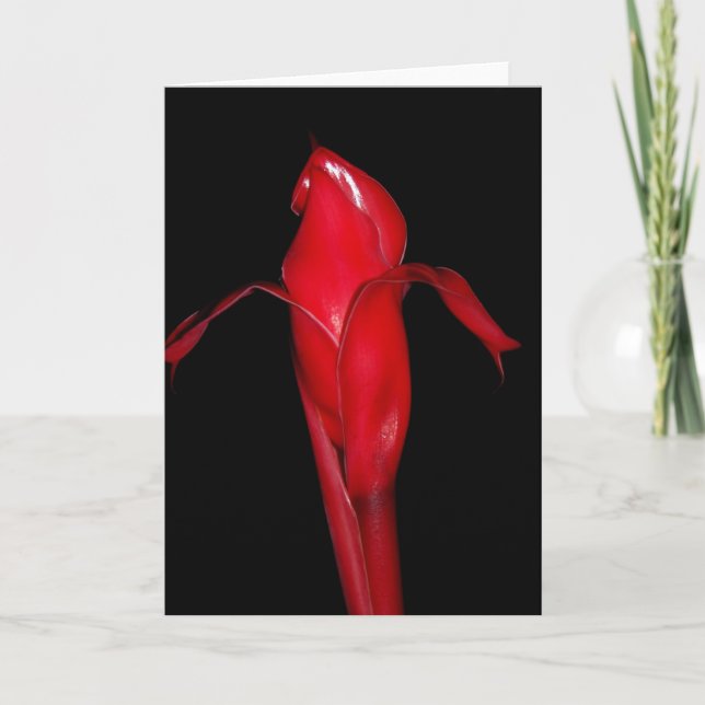 Torch Ginger Card (Front)