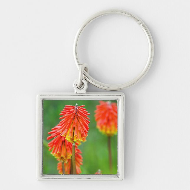 Torch Lily (Kniphofia Uvaria), Western Cape Keychain (Front)