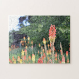 Torch Lily Red Hot Poker Flower Nature Photography Jigsaw Puzzle