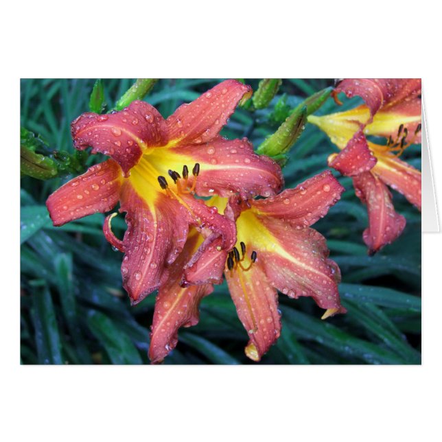 Torche de flambage (Devant horizontal)