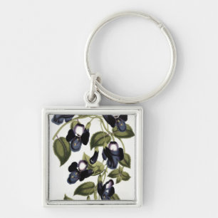 Torenia Asiatica pulcherrima Keychain