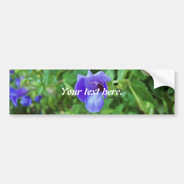 Torenia Bumper Sticker (Front)