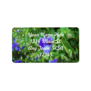 Torenia Label