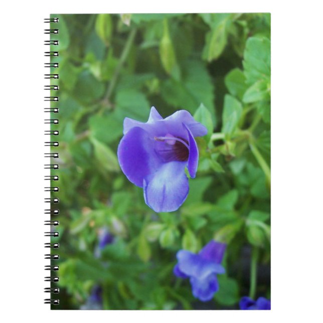 Torenia Notebook (Front)