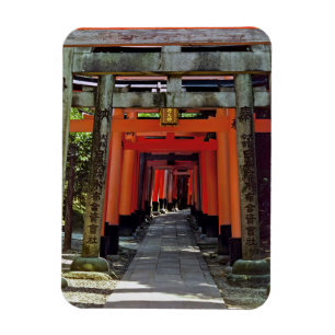 Torii gates - Kyoto, Japan, Asia Magnet