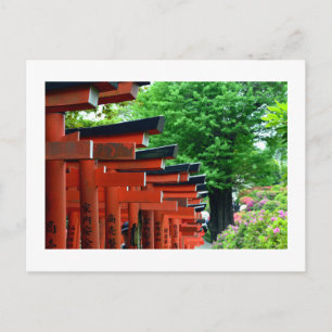 Torii Gates, Nezu Shrine: Tokyo, Japan Postcard