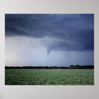 Tornado Warning Poster