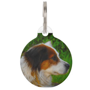 Tornjak Pet Tag