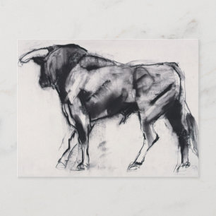 Toro Azul study Postcard