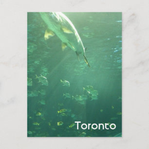 Toronto Aquarium Postcard