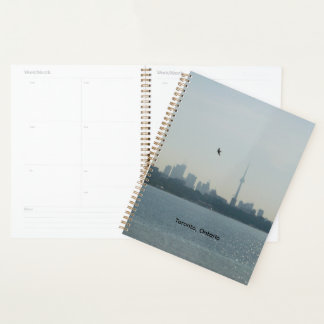 Toronto planner