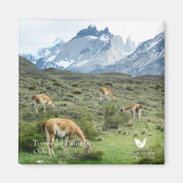 Torres del Paine - fridge magnet by Velvet Escape (Front)