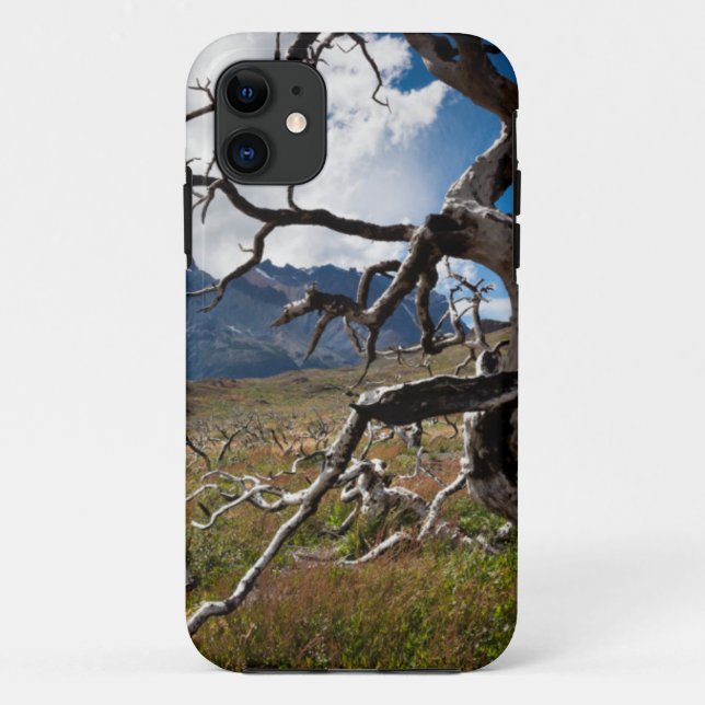 Torres del Paine National Park, fire damaged trees Case-Mate iPhone Case (Back)