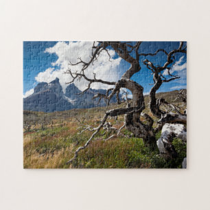 Torres del Paine National Park, fire damaged trees Jigsaw Puzzle