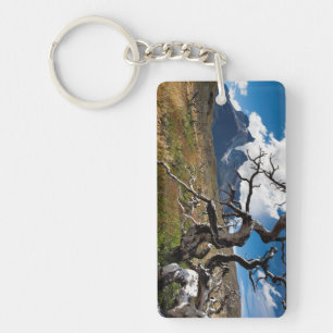 Torres del Paine National Park, fire damaged trees Keychain