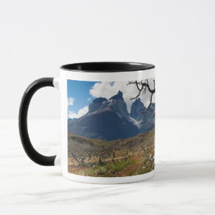 Torres del Paine National Park, fire damaged trees Mug