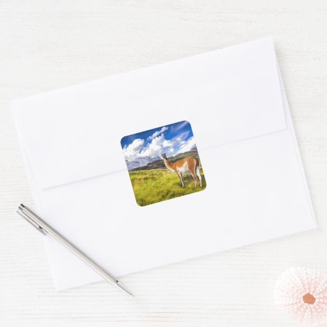 Torres del Paine Square Sticker (Envelope)