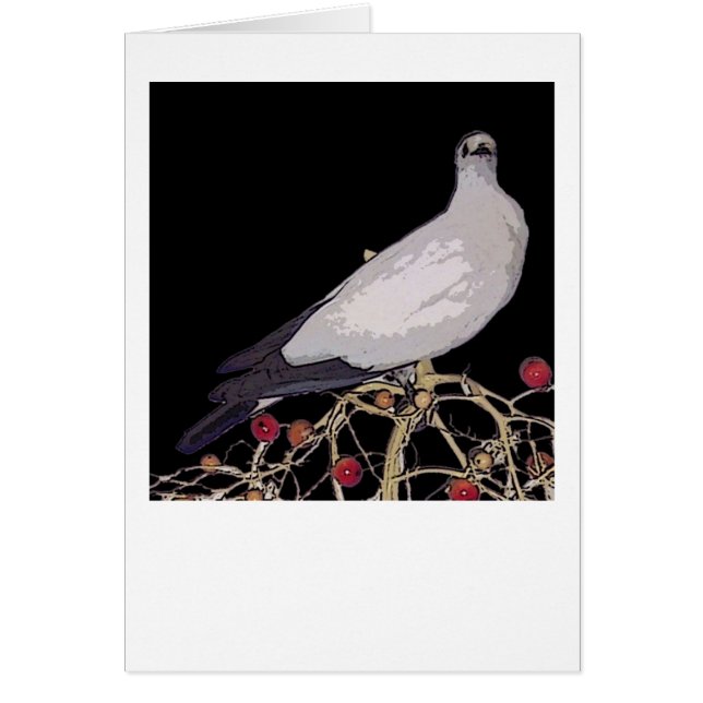 Torresian Imperial Pigeon card (Front)