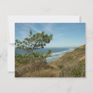 Torrey Pine and California Coastline Landscape Card