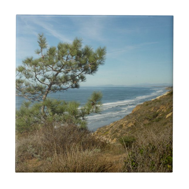 Torrey Pine and California Coastline Landscape Tile (Front)