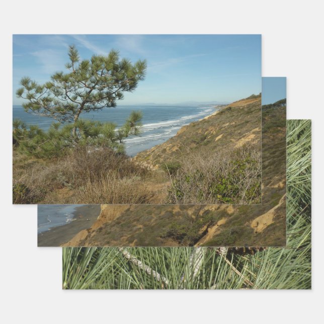 Torrey Pine and California Coastline Landscape Wrapping Paper Sheet (Set)