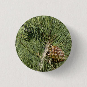 Torrey Pine Closeup California Botanical 1 Inch Round Button