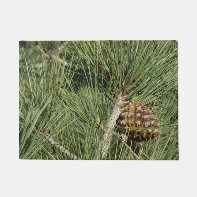 Torrey Pine Closeup California Botanical Doormat (Front)