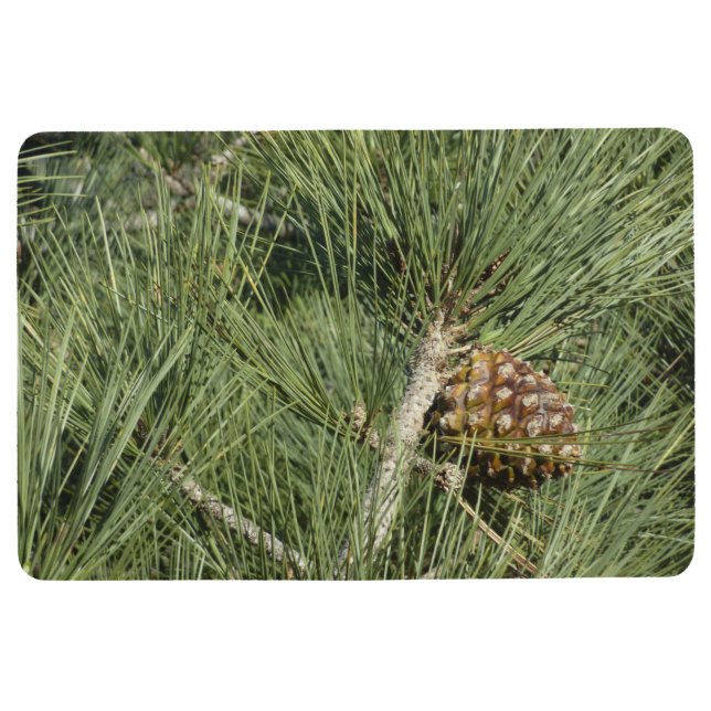 Torrey Pine Closeup California Botanical Floor Mat (Front)