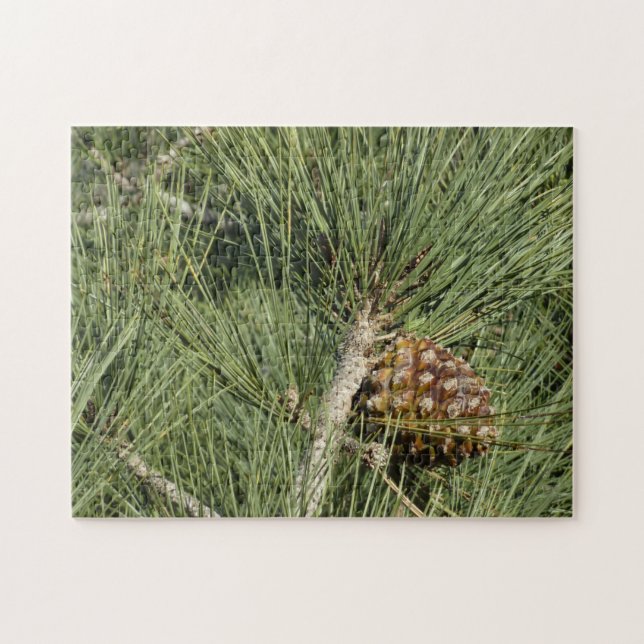 Torrey Pine Closeup California Botanical Jigsaw Puzzle (Horizontal)