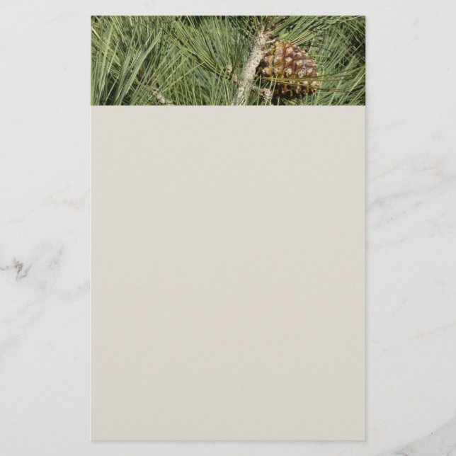Torrey Pine Closeup California Botanical Stationery (Front)
