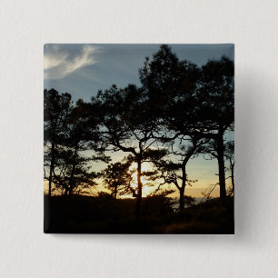 Torrey Pine Sunset II California Landscape 2 Inch Square Button
