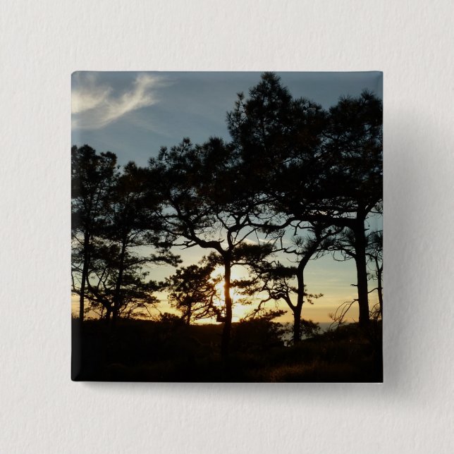 Torrey Pine Sunset II California Landscape 2 Inch Square Button (Front)