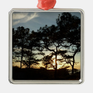 Torrey Pine Sunset II California Landscape Metal Ornament