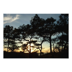 Torrey Pine Sunset II California Landscape Photo Print