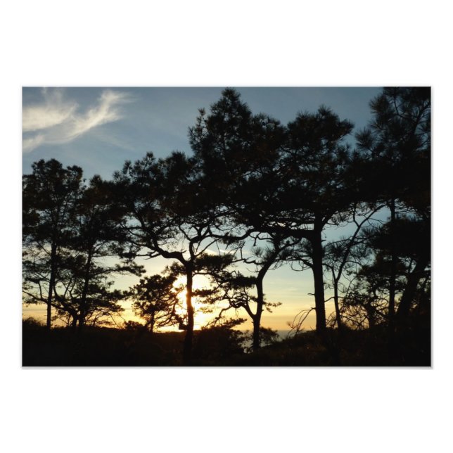 Torrey Pine Sunset II California Landscape Photo Print (Front)