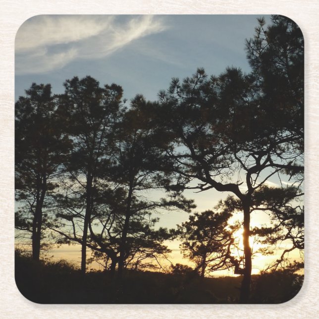 Torrey Pine Sunset II California Landscape Square Paper Coaster (Front)