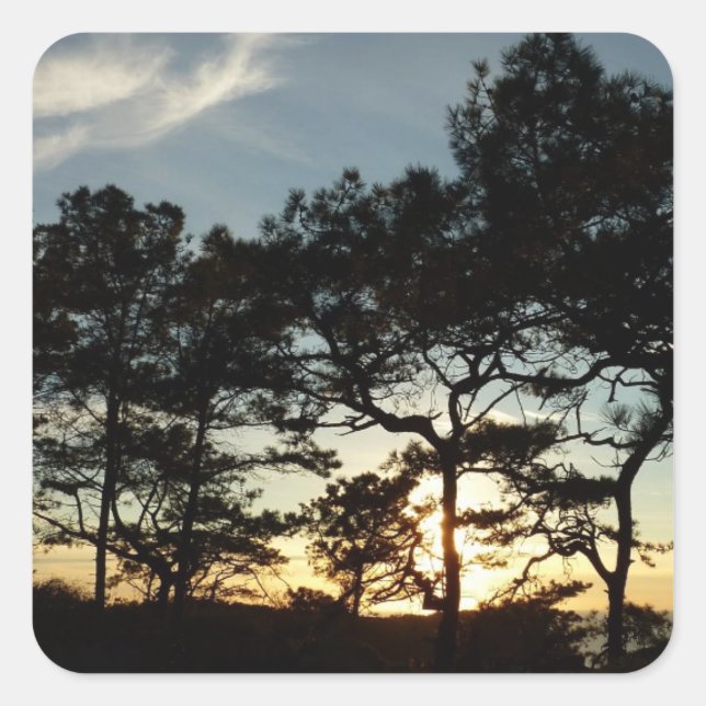 Torrey Pine Sunset II California Landscape Square Sticker (Front)