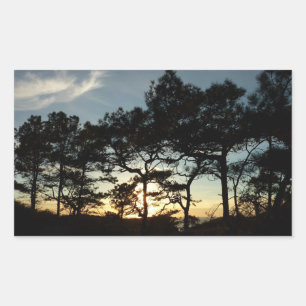 Torrey Pine Sunset II California Landscape Sticker